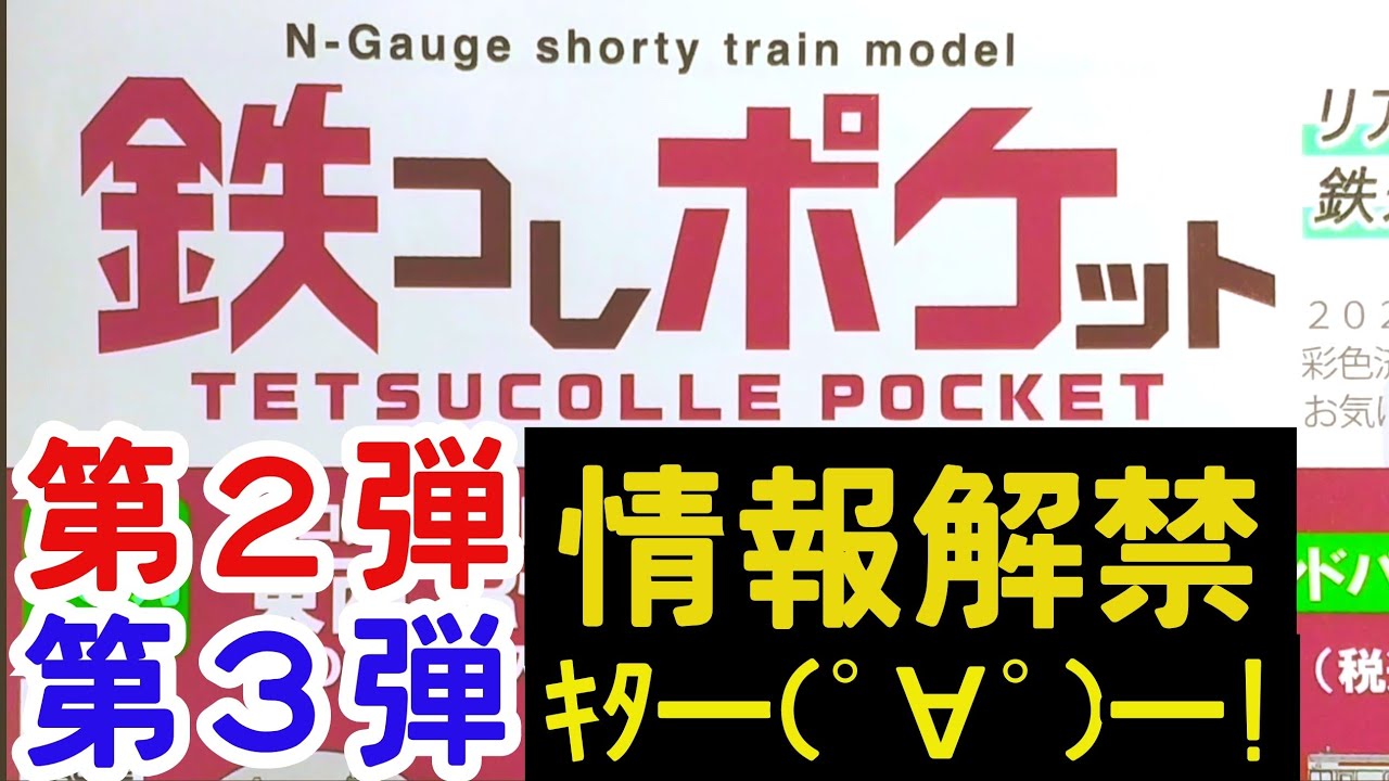 ポケットモンスター　玉如意 風といっしょに - Together With the Wind : Pikachu Records