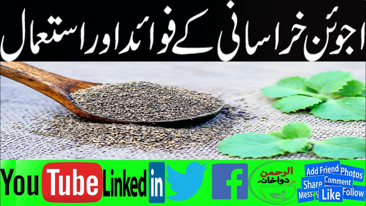 Ajwain Khurasani ke fawaid ur us ke istemal/اجوائن خراسانی/Henbane