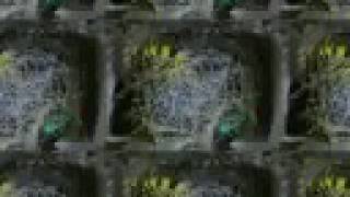 My Visualizations Street Dreams Sweet Dreams Remix By Noisia Hq Visualization