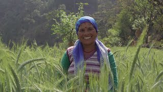 Uttarakhand State Rural Livelihood Mission | United Nations Development Programme (UNDP) | English