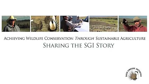 The Sage Grouse Initiative Story