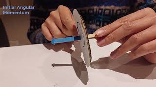 Exploring angular momentum, torque, and precession