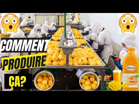 Transformation des FRUITS en JUS /MINI INDUSTRIE EN AFRIQUE