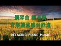 【森林系深度放鬆音樂】 純鋼琴療癒舒壓音樂 睡眠放鬆音樂 學習音樂 ♫ 乾淨無廣告 ♫ 森之音～清晨鳥鳴聲流水聲滿滿正能量