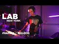 Herodot in The Lab NYC