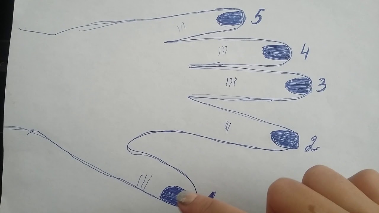 Birinci oktavanin notlari (en tez ve  asan yolla)