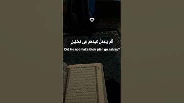 سورة الفيل بصوت خاشع