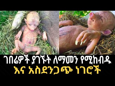 ገበሬዎች በማሳ ውስጥ ያገኙት ለማመን የሚከብዱ እና አስገራሚ ነገሮች