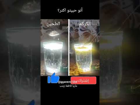 ترند الكركم والطحين ماريا