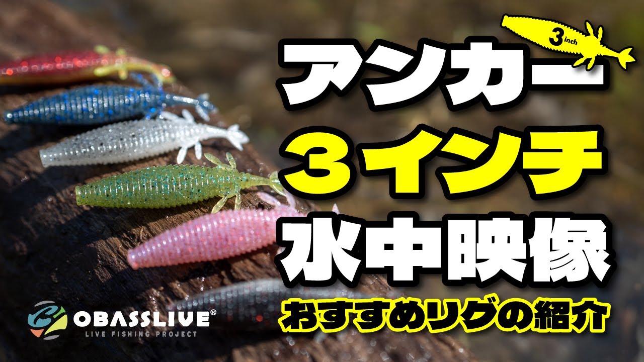 I.F ANKAR 3｜SOFT BAIT｜OBASSLIVE