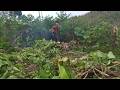 Extreme Brush Cutting Skills You Must See