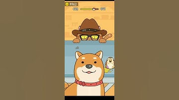 Hide and Seek: Cat Escape! 😹😻 #level 498 #shorts