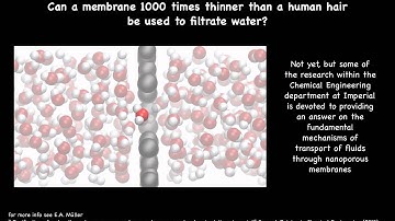 Water transport through a graphene membrane