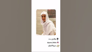 إن الله وملائكته يصلون على النبي | القارئ عبدالرحمن مسعد | تلاوة عطرة