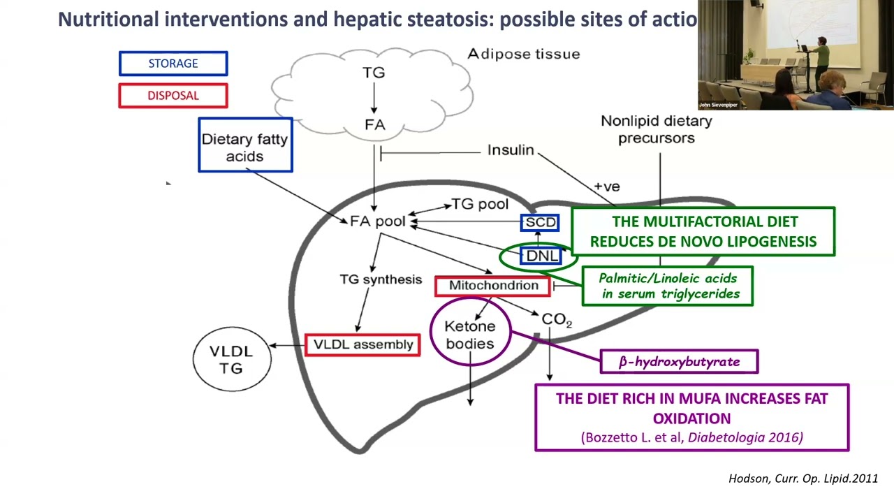 NUTRITION AND METABOLIC DISEASES: FOCUS ON THE ROLE OF THE LIVER AND COLON Angela Rivallese, Italy