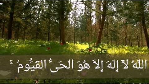 تلاوة جميله  لآية الكرسي بصوت الشيخ وديع اليمني