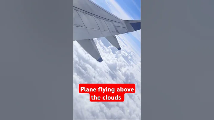 Plane flying above the clouds #viralvideo #shorts