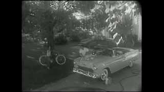 [AVP Archives] Tastee-Freez "All-American Favorite"