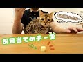 膝に乗っておねだりするロゼ