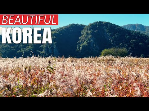 Korea's Most Beautiful Countryside - Cycling Korea Four Rivers Day 18