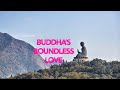 Great quotes on buddhas boundless love for all beings  buddha quotes on unconditional love