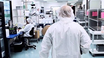 pccarx   What is PCCA