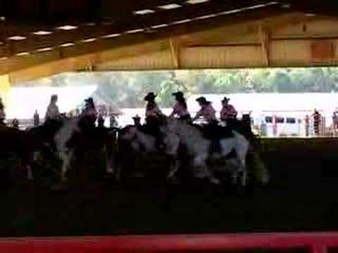 Oconee County 4H Mounted Drill Team 2007