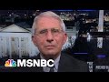 Dr. Fauci On The Latest U.S. Covid-19 Response | MSNBC