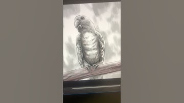 Warmup in #affinitydesigner #subscribe for more art tutorials! #shorts