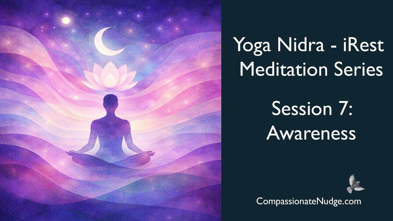 Yoga Nidra / iRest Session #7 - Awareness