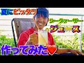 【大学生の夏休み】夏にピッタリな特性シークァーサージュースを作ってみた！　|　沖縄最高❤️