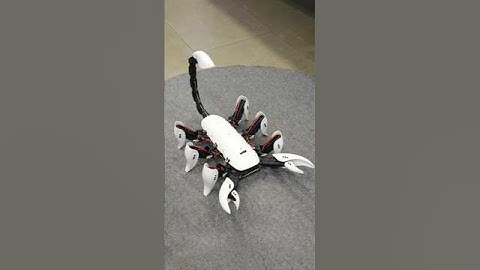 Scorpion Hexapod Robot | amazing robot animals  #shorts #reels #viralvideos