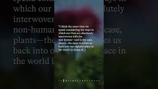 The World Is a Prism, Not a Window – A Conversation with with Zoë Schlanger