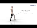 How the C-Brace® leg orthosis works | Ottobock