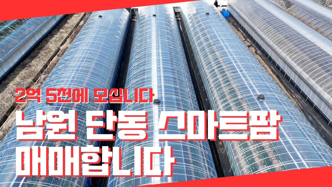 딸기 단동 스마트팜 3동 2억 5천에 매매하고 저는 떠납니다. 그 동안 감사했습니다