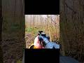Gess the short name. #ytshorts #hunting #chasse