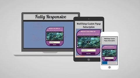 MailChimp Custom Popup Subscription | Shopify | Promo Video