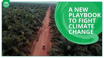 A New Playbook to Fight Climate Change