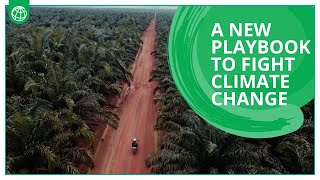 A New Playbook to Fight Climate Change