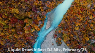 Liquid Drum U0026 Bass Dj Mix February25
