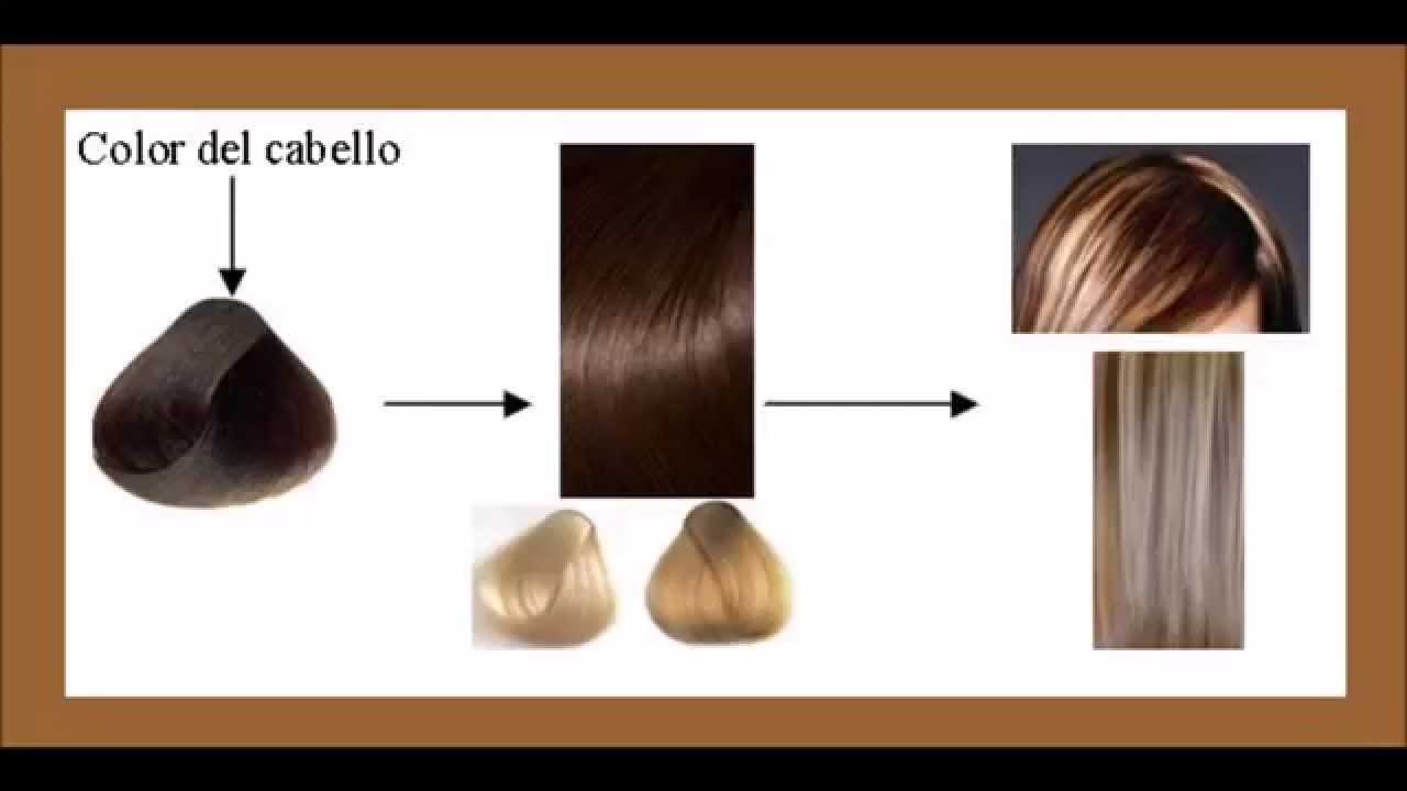 Eficacia aves de corral escocés Teñir el cabello con tinte color marrón y hacer mechas rubias claras en un  solo paso - YouTube