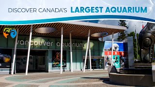 Connect with the Incredible at Canada&#39;s largest aquarium!