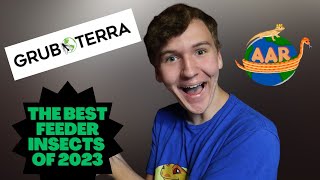 The best feeder insects of 2023!!! with GrubTerra