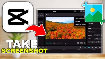 How to Take Video Screenshots in CapCut PC - Full Guide (Tutorial)