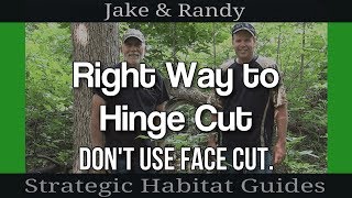 The Correct Way to Hinge Cut Trees for Deer Habitat without the Face Cut