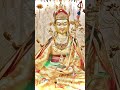 《蓮師心咒》1000遍(37分钟) 早晚共修版