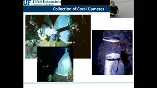 Salty Topics: Symbiosis and Slime: Corals and Their Microbial Partners by Cory J. Krediet, Ph.D. screenshot 5