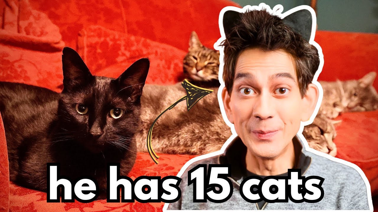 Почему домашние животные так важны для нейроотличных людей?