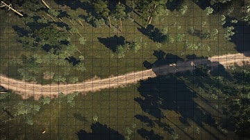 Ansel Battlemap - Gridded - Forest road W3
