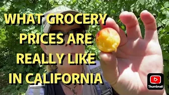 THIS IS WHAT GROCERY PRICES REALLY LIKE IN CALIFORNIA-CHEAPER THAN YOU THINK